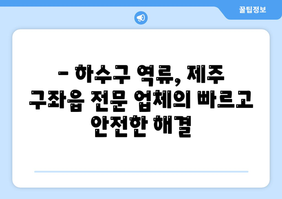 제주도 제주시 구좌읍 하수구막힘 | 가격 | 비용 | 기름제거 | 싱크대 | 변기 | 세면대 | 역류 | 냄새차단 | 2024 후기