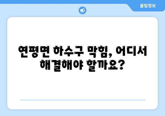 인천시 옹진군 연평면 하수구막힘 | 가격 | 비용 | 기름제거 | 싱크대 | 변기 | 세면대 | 역류 | 냄새차단 | 2024 후기