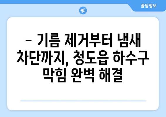 경상북도 청도군 청도읍 하수구막힘 | 가격 | 비용 | 기름제거 | 싱크대 | 변기 | 세면대 | 역류 | 냄새차단 | 2024 후기