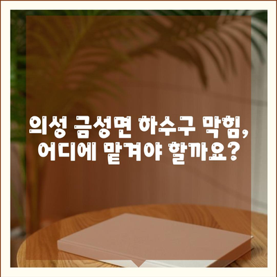 경상북도 의성군 금성면 하수구막힘 | 가격 | 비용 | 기름제거 | 싱크대 | 변기 | 세면대 | 역류 | 냄새차단 | 2024 후기