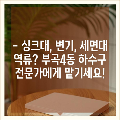 부산시 금정구 부곡4동 하수구막힘 | 가격 | 비용 | 기름제거 | 싱크대 | 변기 | 세면대 | 역류 | 냄새차단 | 2024 후기