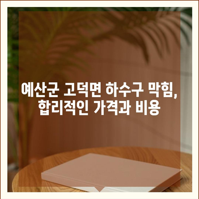 충청남도 예산군 고덕면 하수구막힘 | 가격 | 비용 | 기름제거 | 싱크대 | 변기 | 세면대 | 역류 | 냄새차단 | 2024 후기