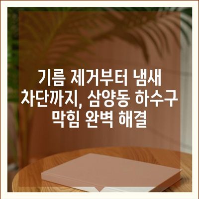 제주도 제주시 삼양동 하수구막힘 | 가격 | 비용 | 기름제거 | 싱크대 | 변기 | 세면대 | 역류 | 냄새차단 | 2024 후기