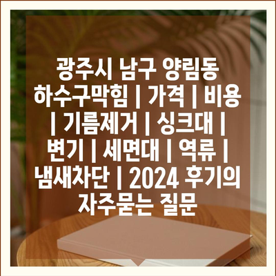 광주시 남구 양림동 하수구막힘 | 가격 | 비용 | 기름제거 | 싱크대 | 변기 | 세면대 | 역류 | 냄새차단 | 2024 후기