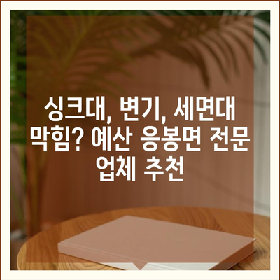 충청남도 예산군 응봉면 하수구막힘 | 가격 | 비용 | 기름제거 | 싱크대 | 변기 | 세면대 | 역류 | 냄새차단 | 2024 후기