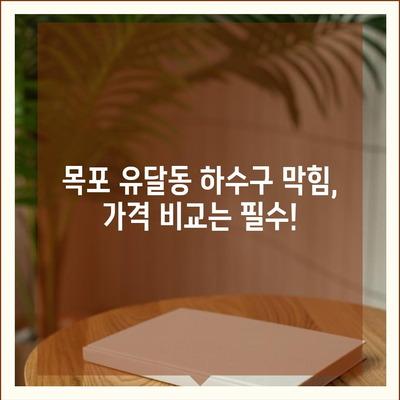 전라남도 목포시 유달동 하수구막힘 | 가격 | 비용 | 기름제거 | 싱크대 | 변기 | 세면대 | 역류 | 냄새차단 | 2024 후기