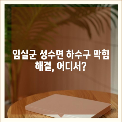 전라북도 임실군 성수면 하수구막힘 | 가격 | 비용 | 기름제거 | 싱크대 | 변기 | 세면대 | 역류 | 냄새차단 | 2024 후기