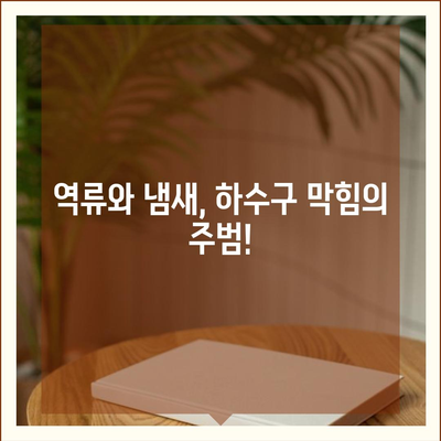 대전시 유성구 노은3동 하수구막힘 | 가격 | 비용 | 기름제거 | 싱크대 | 변기 | 세면대 | 역류 | 냄새차단 | 2024 후기