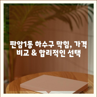 대전시 동구 판암1동 하수구막힘 | 가격 | 비용 | 기름제거 | 싱크대 | 변기 | 세면대 | 역류 | 냄새차단 | 2024 후기