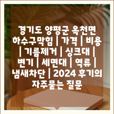 경기도 양평군 옥천면 하수구막힘 | 가격 | 비용 | 기름제거 | 싱크대 | 변기 | 세면대 | 역류 | 냄새차단 | 2024 후기