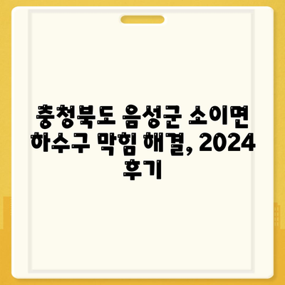 충청북도 음성군 소이면 하수구막힘 | 가격 | 비용 | 기름제거 | 싱크대 | 변기 | 세면대 | 역류 | 냄새차단 | 2024 후기