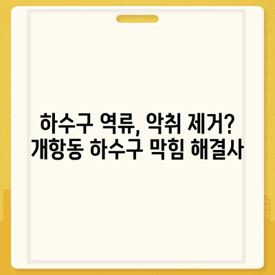 인천시 중구 개항동 하수구막힘 | 가격 | 비용 | 기름제거 | 싱크대 | 변기 | 세면대 | 역류 | 냄새차단 | 2024 후기