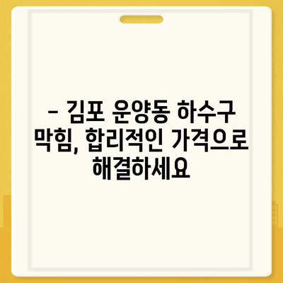 경기도 김포시 운양동 하수구막힘 | 가격 | 비용 | 기름제거 | 싱크대 | 변기 | 세면대 | 역류 | 냄새차단 | 2024 후기