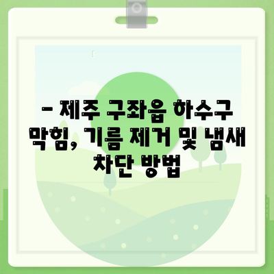 제주도 제주시 구좌읍 하수구막힘 | 가격 | 비용 | 기름제거 | 싱크대 | 변기 | 세면대 | 역류 | 냄새차단 | 2024 후기