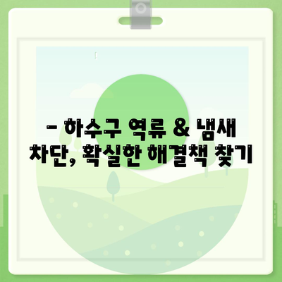 대전시 중구 용두동 하수구막힘 | 가격 | 비용 | 기름제거 | 싱크대 | 변기 | 세면대 | 역류 | 냄새차단 | 2024 후기