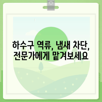 부산시 부산진구 개금1동 하수구막힘 | 가격 | 비용 | 기름제거 | 싱크대 | 변기 | 세면대 | 역류 | 냄새차단 | 2024 후기