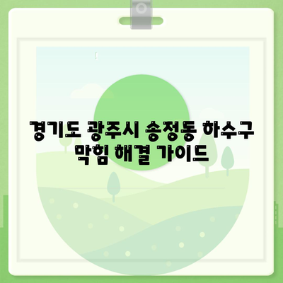 경기도 광주시 송정동 하수구막힘 | 가격 | 비용 | 기름제거 | 싱크대 | 변기 | 세면대 | 역류 | 냄새차단 | 2024 후기