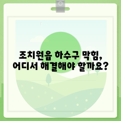 세종시 세종특별자치시 조치원읍 하수구막힘 | 가격 | 비용 | 기름제거 | 싱크대 | 변기 | 세면대 | 역류 | 냄새차단 | 2024 후기