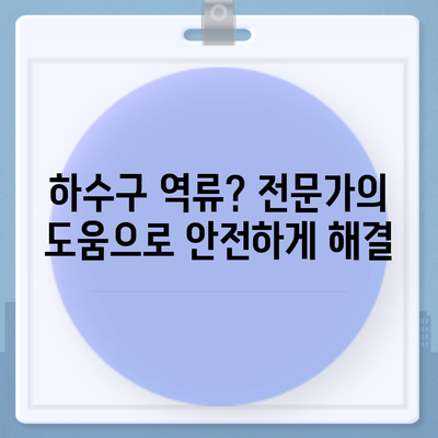 부산시 북구 금곡동 하수구막힘 | 가격 | 비용 | 기름제거 | 싱크대 | 변기 | 세면대 | 역류 | 냄새차단 | 2024 후기