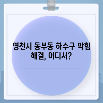 경상북도 영천시 동부동 하수구막힘 | 가격 | 비용 | 기름제거 | 싱크대 | 변기 | 세면대 | 역류 | 냄새차단 | 2024 후기