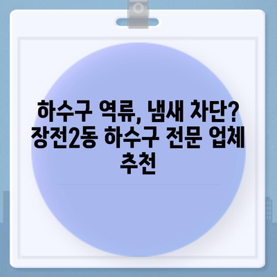 부산시 금정구 장전2동 하수구막힘 | 가격 | 비용 | 기름제거 | 싱크대 | 변기 | 세면대 | 역류 | 냄새차단 | 2024 후기