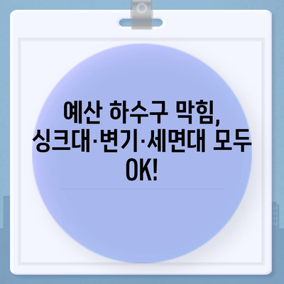 충청남도 예산군 예산읍 하수구막힘 | 가격 | 비용 | 기름제거 | 싱크대 | 변기 | 세면대 | 역류 | 냄새차단 | 2024 후기