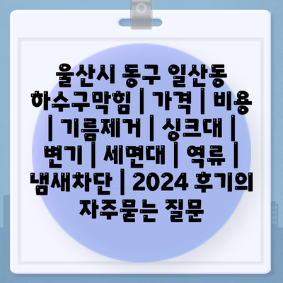 울산시 동구 일산동 하수구막힘 | 가격 | 비용 | 기름제거 | 싱크대 | 변기 | 세면대 | 역류 | 냄새차단 | 2024 후기