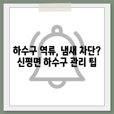 충청남도 당진시 신평면 하수구막힘 | 가격 | 비용 | 기름제거 | 싱크대 | 변기 | 세면대 | 역류 | 냄새차단 | 2024 후기