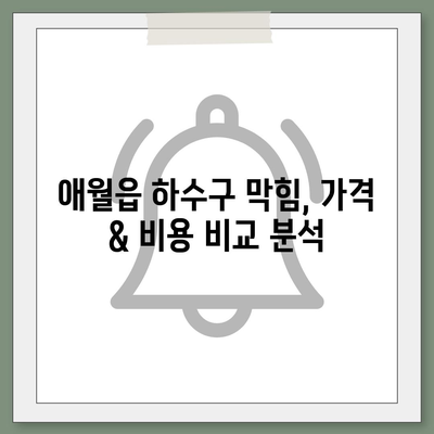 제주도 제주시 애월읍 하수구막힘 | 가격 | 비용 | 기름제거 | 싱크대 | 변기 | 세면대 | 역류 | 냄새차단 | 2024 후기