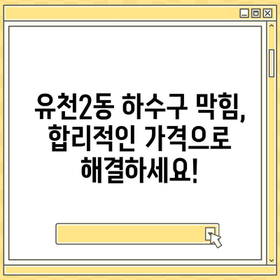 대전시 중구 유천2동 하수구막힘 | 가격 | 비용 | 기름제거 | 싱크대 | 변기 | 세면대 | 역류 | 냄새차단 | 2024 후기