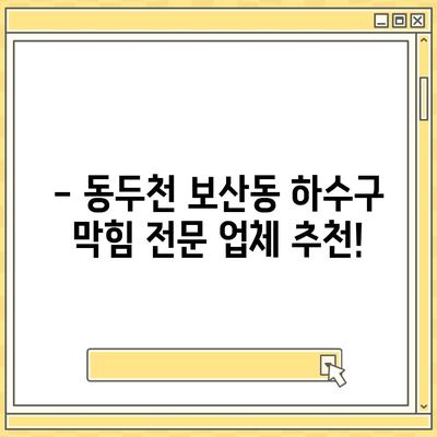 경기도 동두천시 보산동 하수구막힘 | 가격 | 비용 | 기름제거 | 싱크대 | 변기 | 세면대 | 역류 | 냄새차단 | 2024 후기