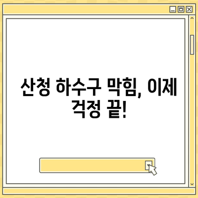 경상남도 산청군 산청읍 하수구막힘 | 가격 | 비용 | 기름제거 | 싱크대 | 변기 | 세면대 | 역류 | 냄새차단 | 2024 후기