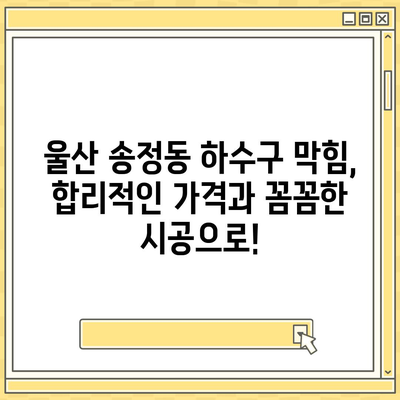 울산시 북구 송정동 하수구막힘 | 가격 | 비용 | 기름제거 | 싱크대 | 변기 | 세면대 | 역류 | 냄새차단 | 2024 후기