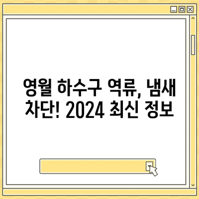 강원도 영월군 영월읍 하수구막힘 | 가격 | 비용 | 기름제거 | 싱크대 | 변기 | 세면대 | 역류 | 냄새차단 | 2024 후기