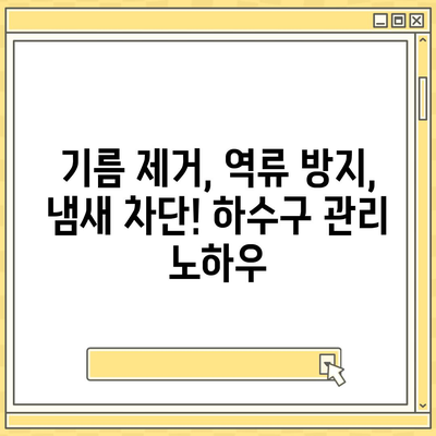 인천시 중구 운서동 하수구막힘 | 가격 | 비용 | 기름제거 | 싱크대 | 변기 | 세면대 | 역류 | 냄새차단 | 2024 후기