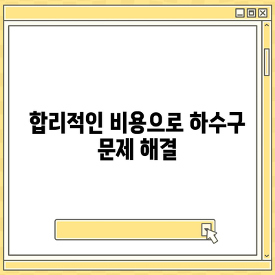 부산시 수영구 수영동 하수구막힘 | 가격 | 비용 | 기름제거 | 싱크대 | 변기 | 세면대 | 역류 | 냄새차단 | 2024 후기