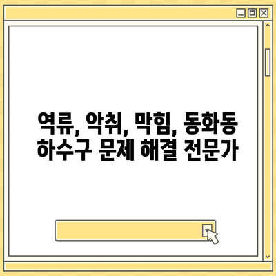 서울시 중구 동화동 하수구막힘 | 가격 | 비용 | 기름제거 | 싱크대 | 변기 | 세면대 | 역류 | 냄새차단 | 2024 후기