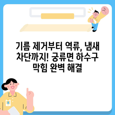 경상남도 의령군 궁류면 하수구막힘 | 가격 | 비용 | 기름제거 | 싱크대 | 변기 | 세면대 | 역류 | 냄새차단 | 2024 후기