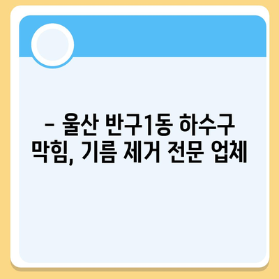 울산시 중구 반구1동 하수구막힘 | 가격 | 비용 | 기름제거 | 싱크대 | 변기 | 세면대 | 역류 | 냄새차단 | 2024 후기