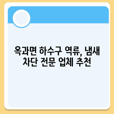 전라남도 곡성군 옥과면 하수구막힘 | 가격 | 비용 | 기름제거 | 싱크대 | 변기 | 세면대 | 역류 | 냄새차단 | 2024 후기