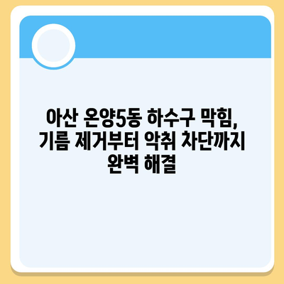 충청남도 아산시 온양5동 하수구막힘 | 가격 | 비용 | 기름제거 | 싱크대 | 변기 | 세면대 | 역류 | 냄새차단 | 2024 후기