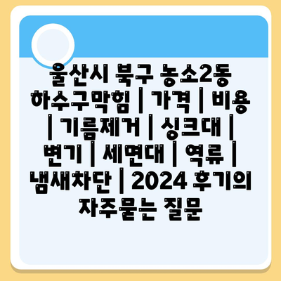 울산시 북구 농소2동 하수구막힘 | 가격 | 비용 | 기름제거 | 싱크대 | 변기 | 세면대 | 역류 | 냄새차단 | 2024 후기