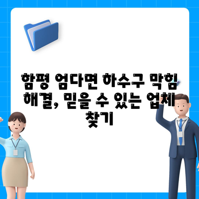 전라남도 함평군 엄다면 하수구막힘 | 가격 | 비용 | 기름제거 | 싱크대 | 변기 | 세면대 | 역류 | 냄새차단 | 2024 후기