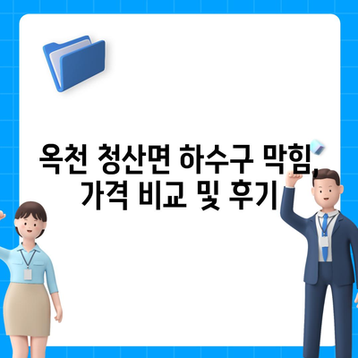 충청북도 옥천군 청산면 하수구막힘 | 가격 | 비용 | 기름제거 | 싱크대 | 변기 | 세면대 | 역류 | 냄새차단 | 2024 후기