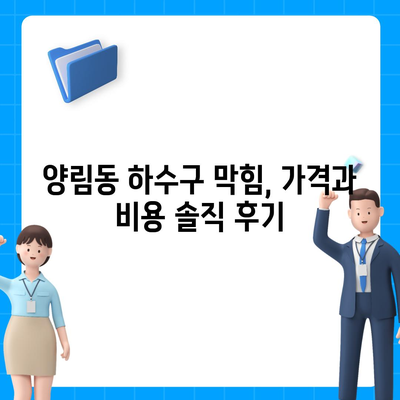 광주시 남구 양림동 하수구막힘 | 가격 | 비용 | 기름제거 | 싱크대 | 변기 | 세면대 | 역류 | 냄새차단 | 2024 후기