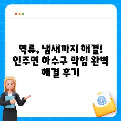 충청남도 아산시 인주면 하수구막힘 | 가격 | 비용 | 기름제거 | 싱크대 | 변기 | 세면대 | 역류 | 냄새차단 | 2024 후기