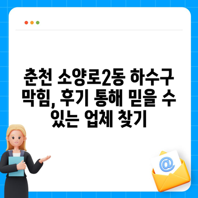 강원도 춘천시 소양로2동 하수구막힘 | 가격 | 비용 | 기름제거 | 싱크대 | 변기 | 세면대 | 역류 | 냄새차단 | 2024 후기