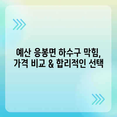 충청남도 예산군 응봉면 하수구막힘 | 가격 | 비용 | 기름제거 | 싱크대 | 변기 | 세면대 | 역류 | 냄새차단 | 2024 후기