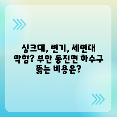 전라북도 부안군 동진면 하수구막힘 | 가격 | 비용 | 기름제거 | 싱크대 | 변기 | 세면대 | 역류 | 냄새차단 | 2024 후기