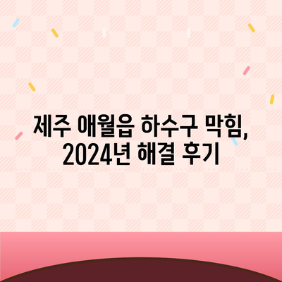 제주도 제주시 애월읍 하수구막힘 | 가격 | 비용 | 기름제거 | 싱크대 | 변기 | 세면대 | 역류 | 냄새차단 | 2024 후기